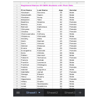 Data Entry Work 2