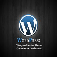 WP websites with Premium themes
