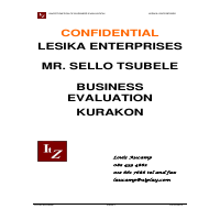 Business evaluation and analysis