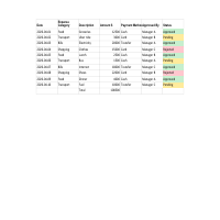 Data entry for a client monthly expense tracker