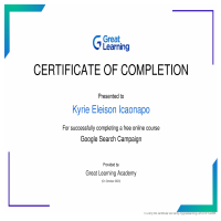 Google Search Campaign