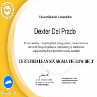 Six Sigma - Yellow Belt