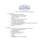 SMM PLAN