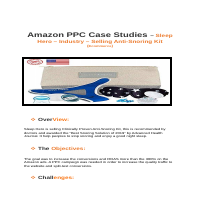 Losanihomes.com Google Ads Case Study