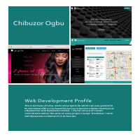 Web development Profile