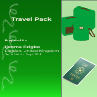Travel pack portfolio 