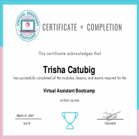 VA Bootcamp Online Course Certification