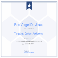 Custom Audience Certification