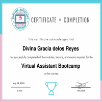 Virtual Assistant Training