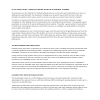 All you need to know about Lionsbet