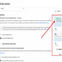 Youtube SEO