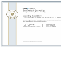 Excel Certification (LinkedIn Learning)