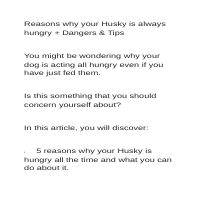 Reasons why Huskies are always hungry
