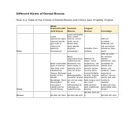 Research on different kinds of braces