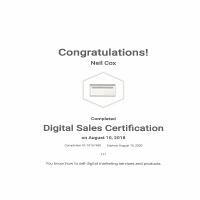 Google Digital Sales