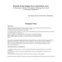 Spanish to English Translation 