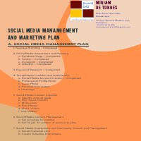 SMM Marketing Plan