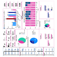 Data Visuals by Using Power BI