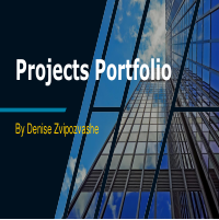 Projects portfolio