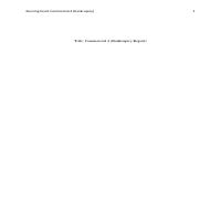 commercial report