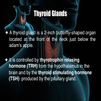 Sample Microsoft Powerpoint Portfolio 01