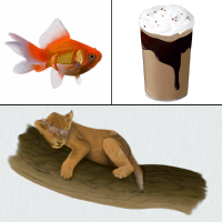 Digital Illustrations