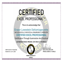Am a professional in Excel and Database 