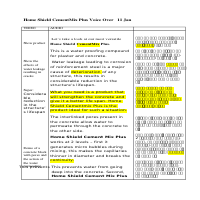 Translation for AV film script