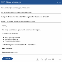 Business Email Campaign Sample (English - Spanish)