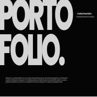 My Professional Portfolio