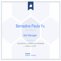 FB Ads Blueprint