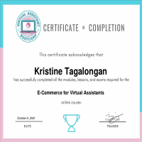 Certificate on Basic Ecommerce