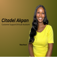 Customer service portf