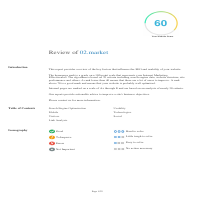 a report of seo f an website