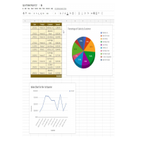 Excel Report Creation