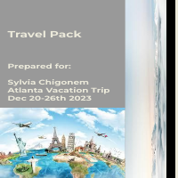 Travel Pack 