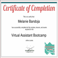 Virtual Assistant Training Certificate