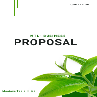 Business proposal 