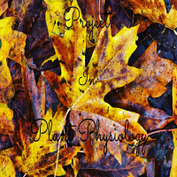 Book Project_Plant MorphoAnatomy