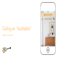 Website Auditing