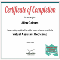 Online Training, Virtual Assitant for Freelanc