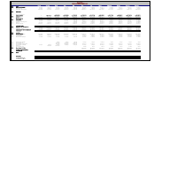 Annual Financial Report