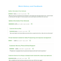 Work History and Feedback: