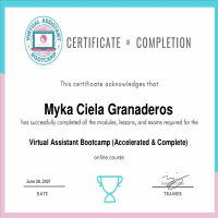 Virtual Assistant Training