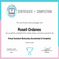 VA Bootcamp Certificate