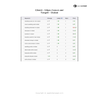 SEO Portfolio