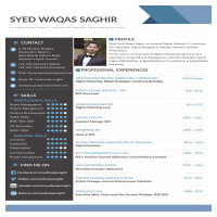 Syed Waqas Saghir Profile