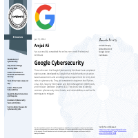Google Cyber Security Certificate