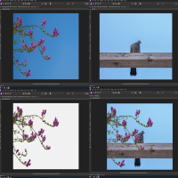 Background Replacement in Affinity Photo