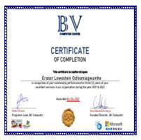 Professional in Bookkeeping and Graphics Design
